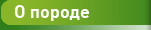 О породе