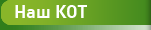 Наш кот