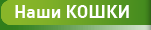 Наши кошки