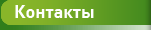 Контакты
